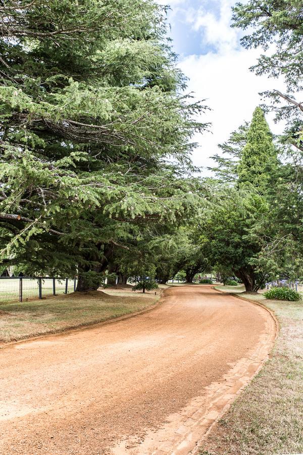 ホテル Bendooley Estate ベリマ エクステリア 写真